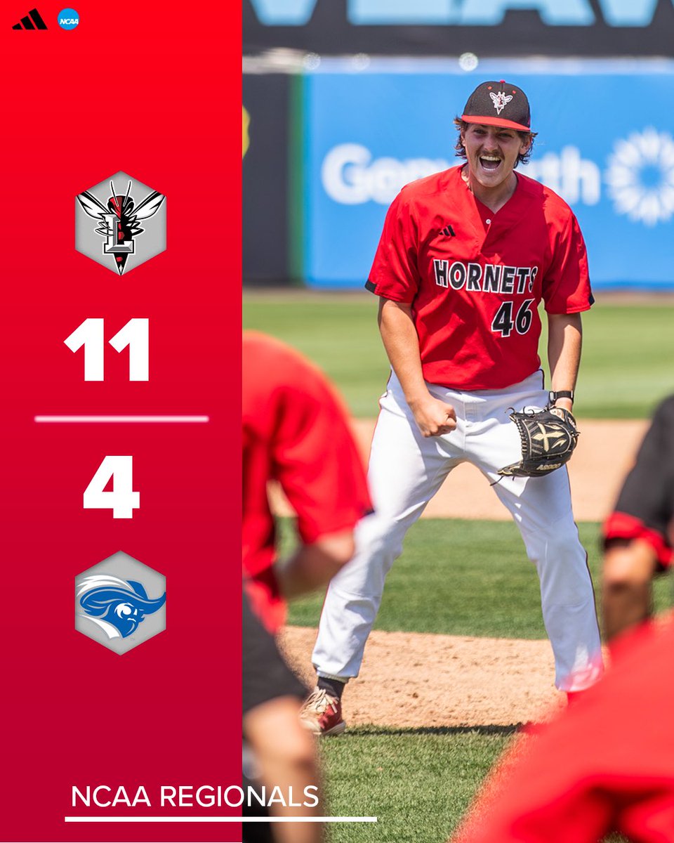 LynchburgBaseBl's tweet photo. Your Lynchburg Hornets are REGIONAL CHAMPS, onto the NCAA Super regional ‼️ https://t.co/gv06HbrY5T
