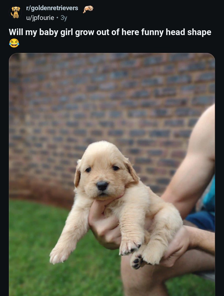 katie tweet media