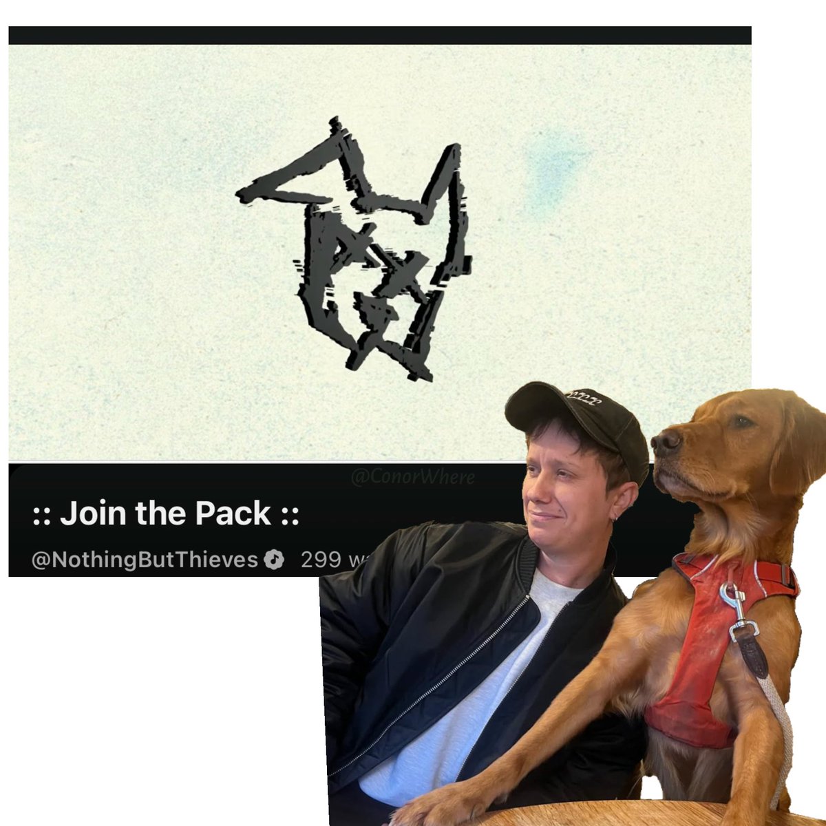 ConorWhere's tweet photo. NBT: join the pack 
All of us: https://t.co/r9vJjprOaN