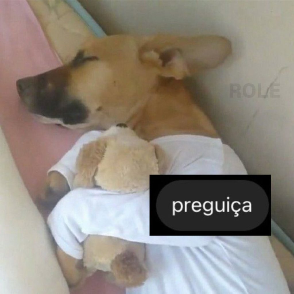 Rolê Aleatório tweet media