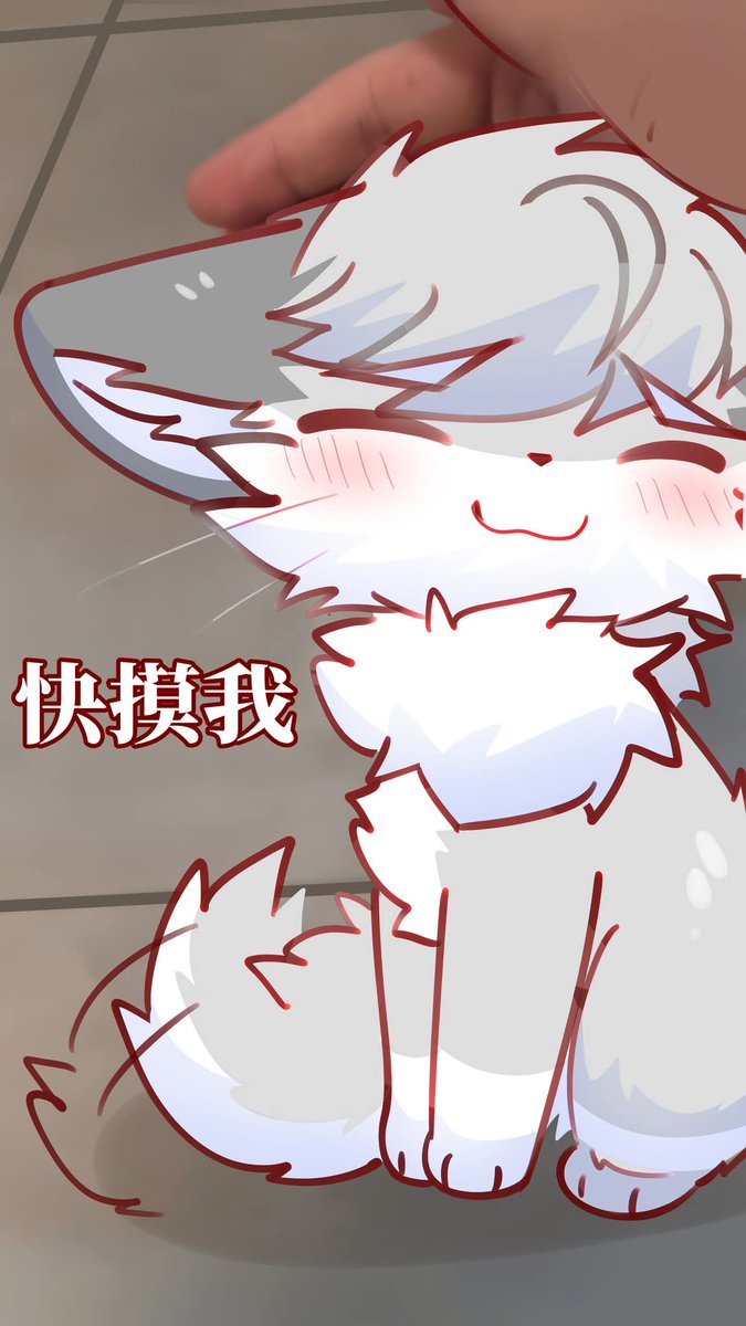 瑞树🌲 tweet media