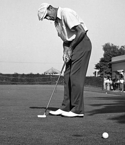 TheGolfDivoTee™ tweet media