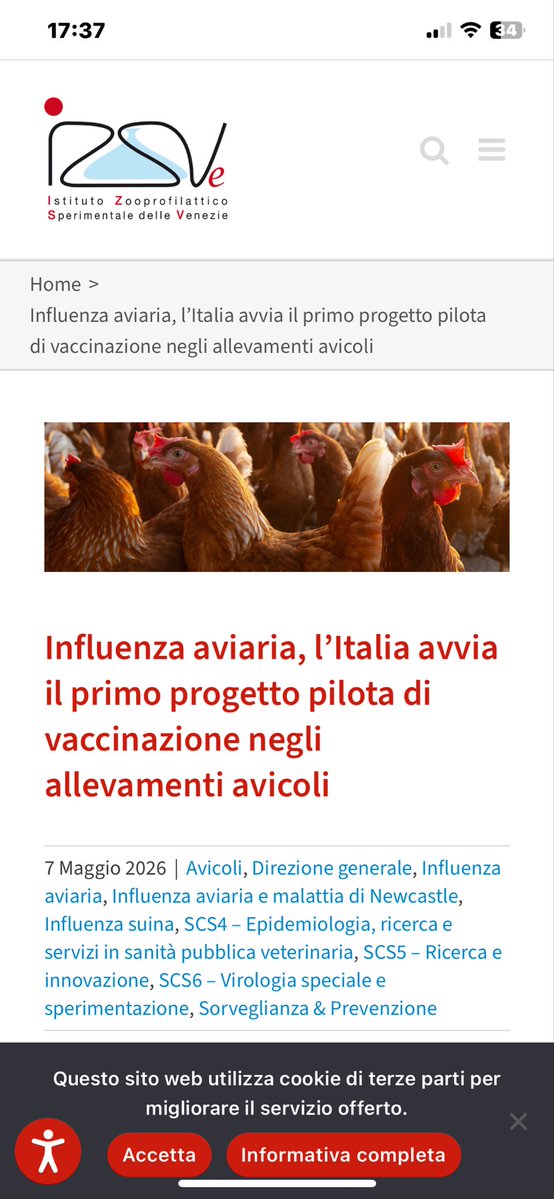 Patty_Rosa🌹🐝🐬 tweet media