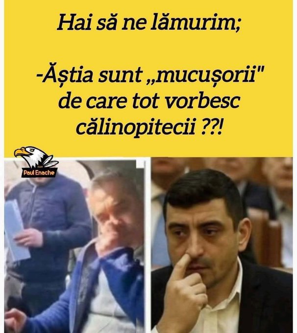Petre tweet media