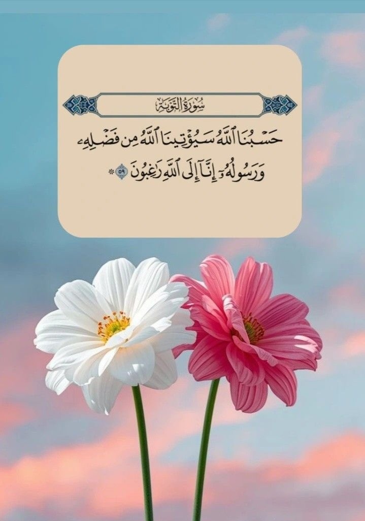 أم ؏ُـــــمَر tweet media