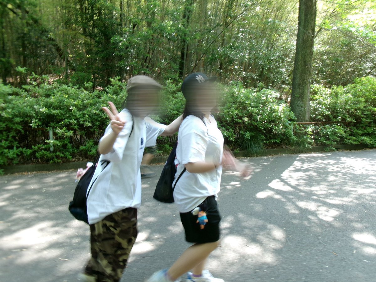 ココネ tweet media