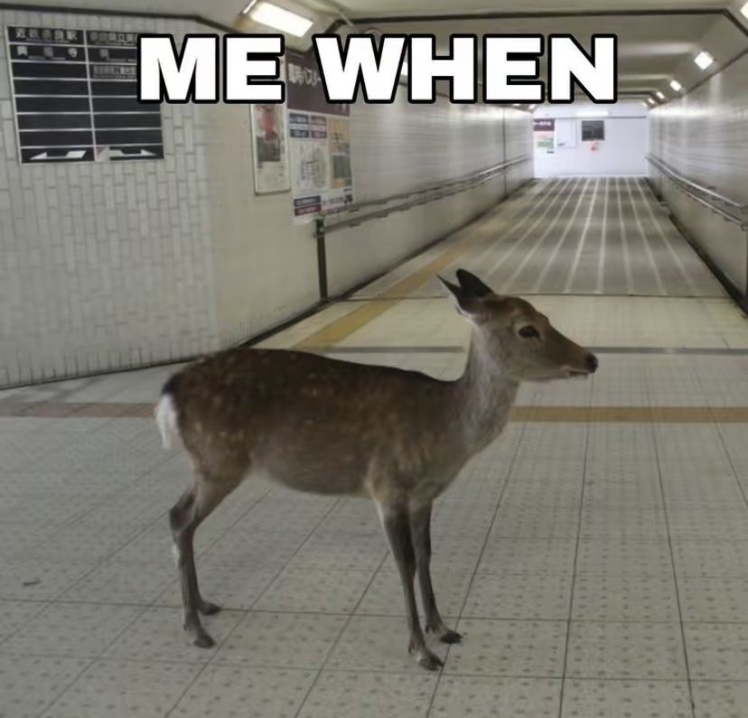 John fawn tweet media