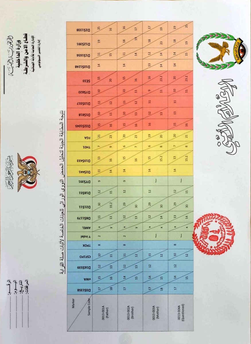 طالوت العصر tweet media