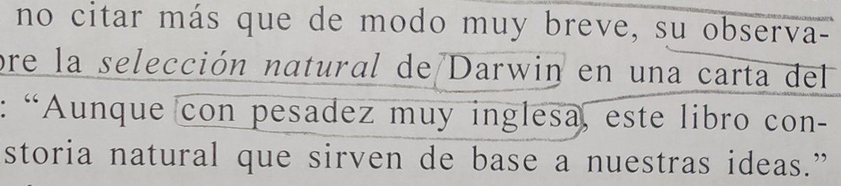 Ultraprogresista. tweet media