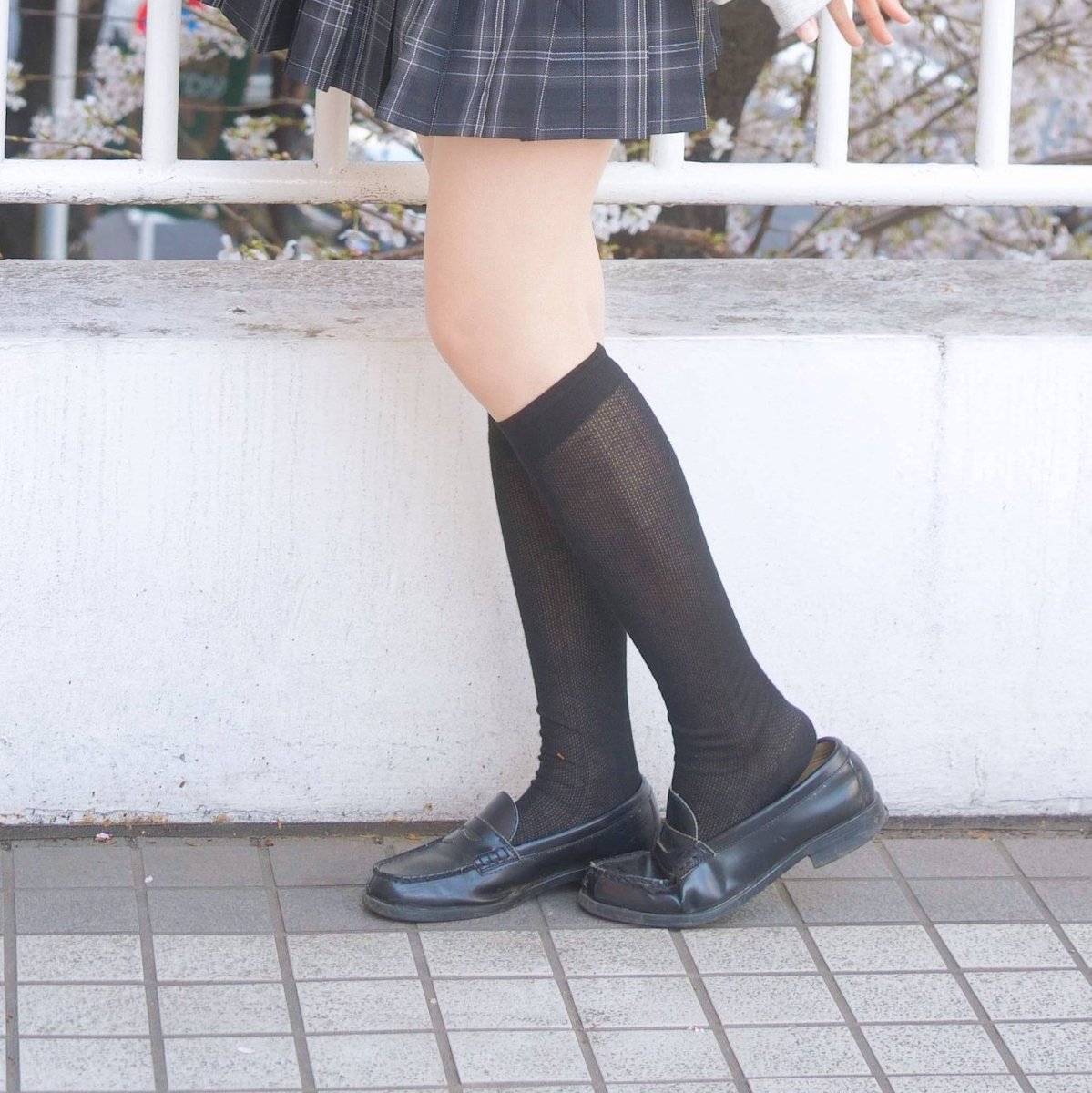脚好き tweet media