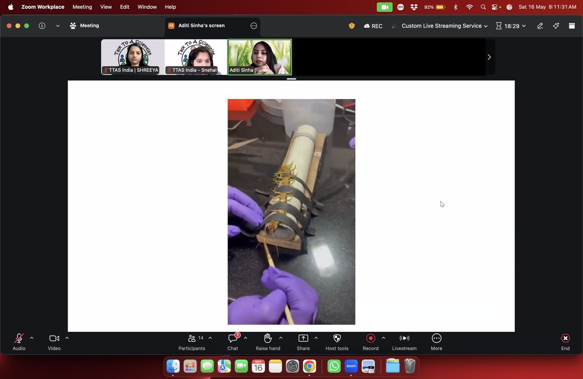 TTASIndia's tweet photo. We had an un-BEE-lievably fun time with PhD researcher Aditi Sinha as we took a deep dive into the world of venomous animals.
We learned why stings hurt, how centipedes work, and the difference between venom and poison!🐍🦂🧪
#TTASIndia #SciComm #venom #centipede #Sci4Kids https://t.co/NmVduHqKkW
