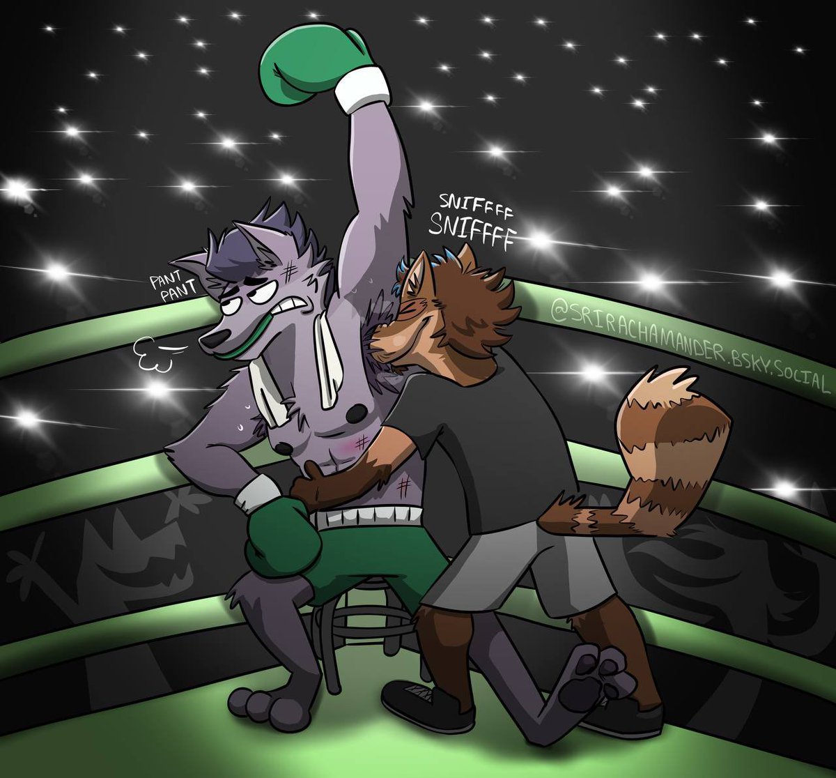 BoxingPup tweet media