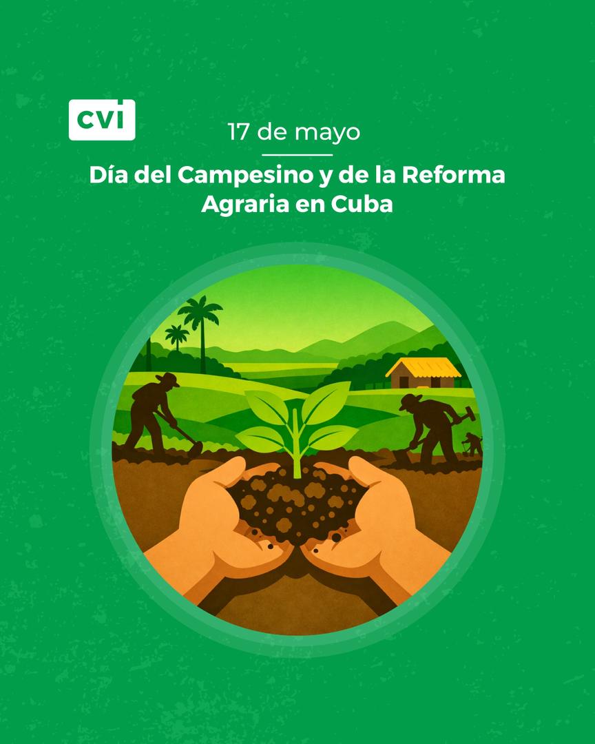Sección Farmacia y Óptica Las Tunas tweet media