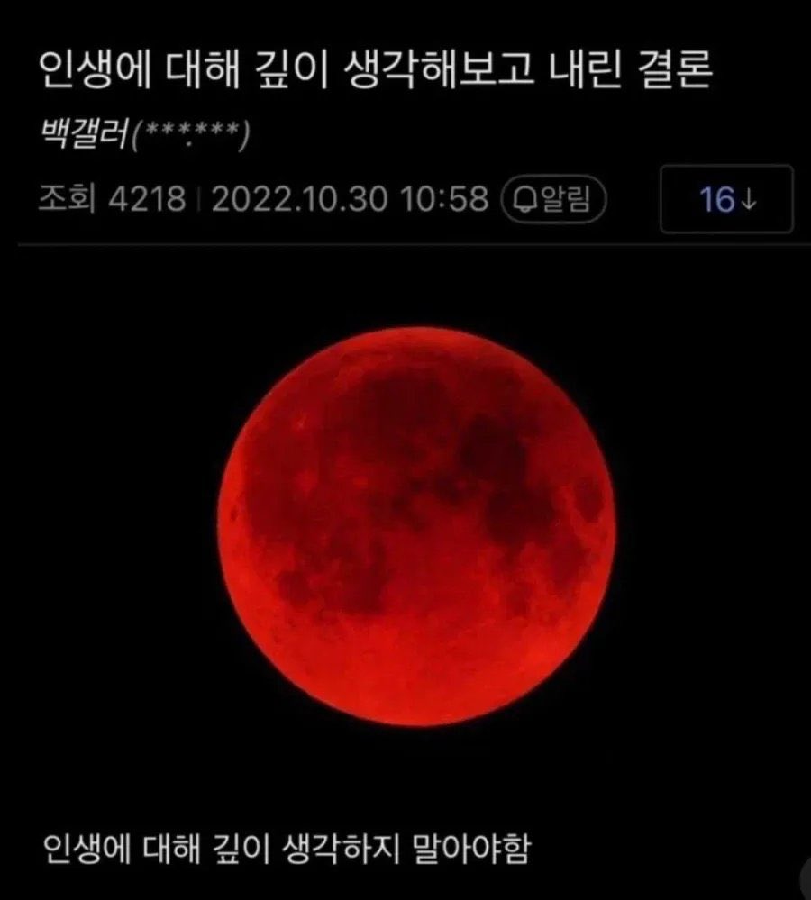 (떠떠)푸린 tweet media