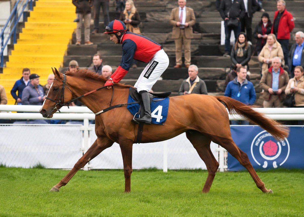 AlwaysTryingRS's tweet photo. 🏇 Always Trying Syndicate Update

3️⃣ Today We Have Agreed The Purchase Of The Exciting Dual Purpose Horse 'Faithful Guardian'

Formerly With Alan King Now With Group 1 &amp; National Winning Trainer @donaldmccain

Super Excited &amp; Annual Shares Are £75

https://t.co/54JEUUftRH https://t.co/oiVEx9Oe4D