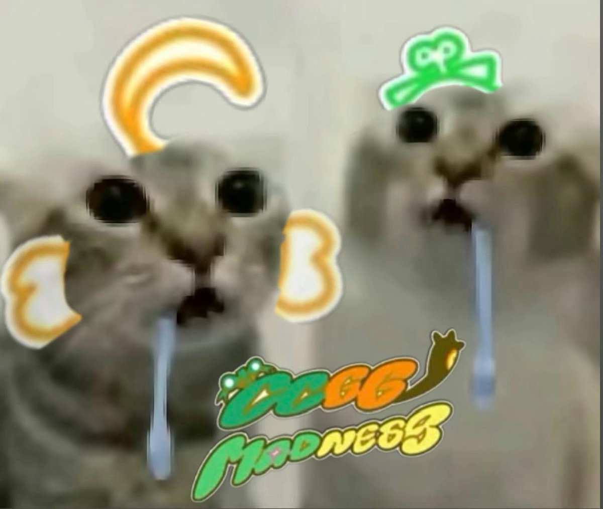 🐹oranGi🎃 tweet media