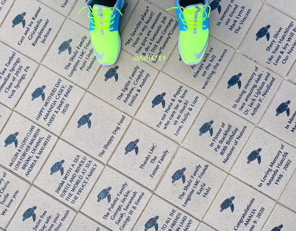 Stealth783's tweet photo. #NIKE #YourSneakersAreDope #SneakerFreakerFam #NikeFitCheck #TheShoeGame #CurrentBlue #VintageKicks #TeamTMCII #UrbanSyndicate #SeekThePositive #SnkrAnml #FireFridays #NiceKicks #Roshe #RosheRunFB #RosheRun #ToeBoxLove #SundayFunday #Tru2TheGame #WDYWT #RosheRunFB #TeamRoshe https://t.co/gDvKgptJbP