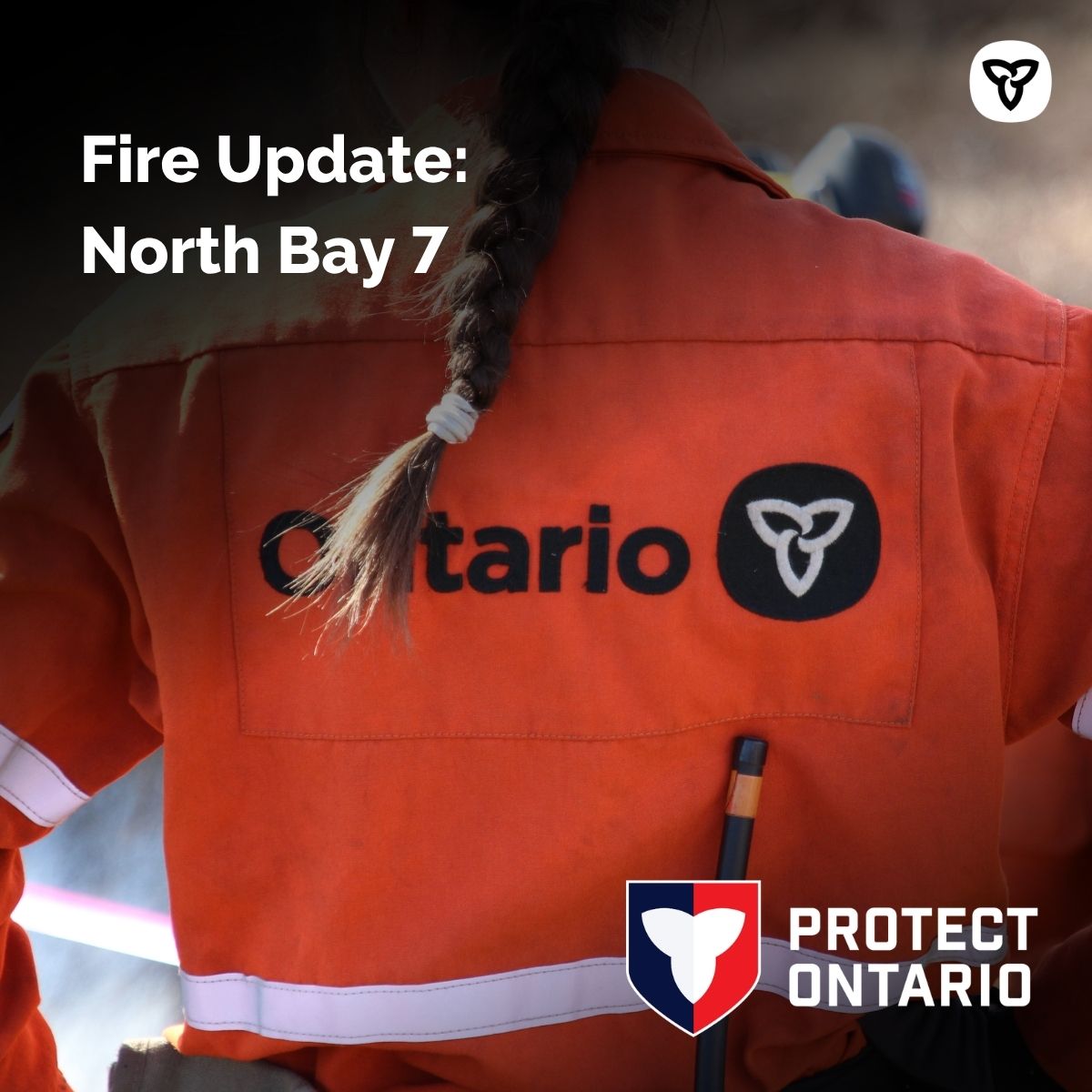 Ontario Forest Fires tweet media