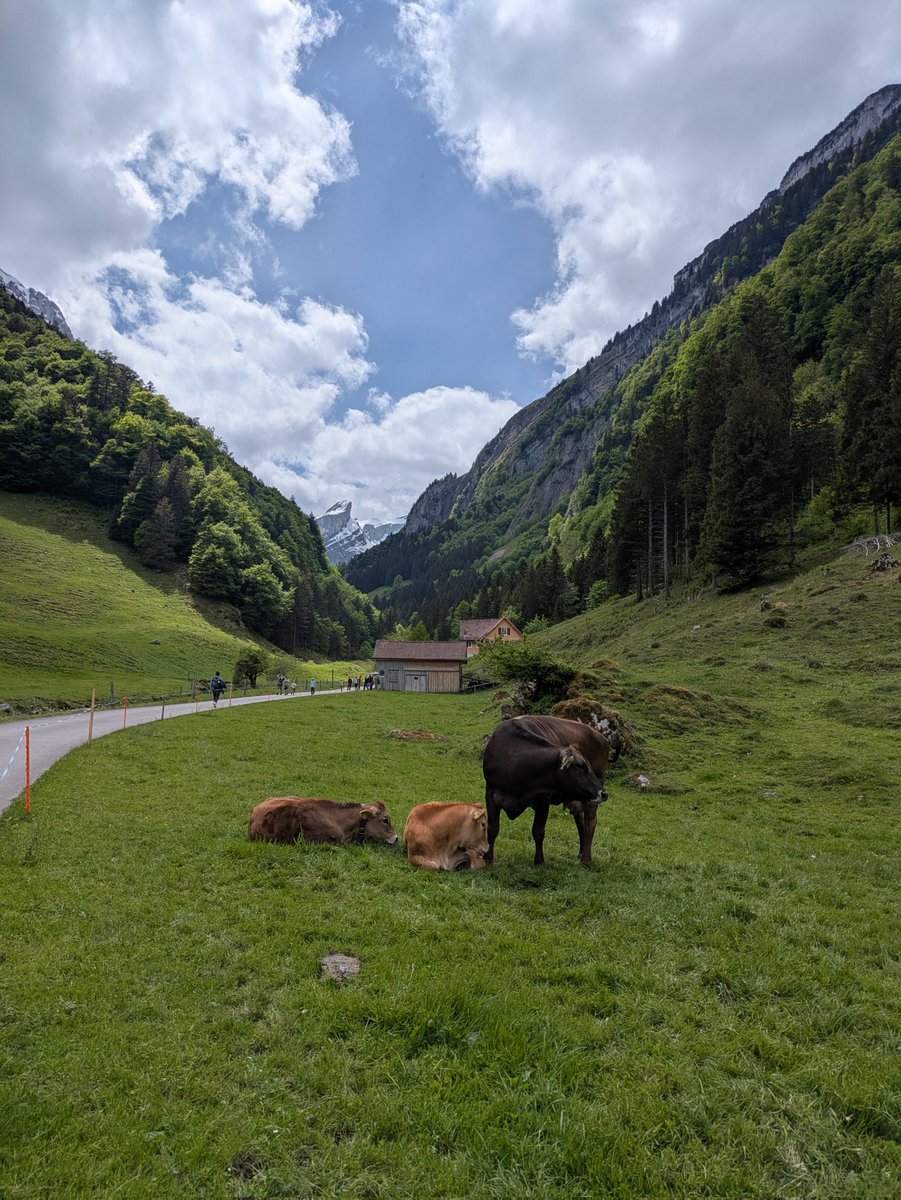 huscitus's tweet photo. Today's hike was very picturesque! https://t.co/BjH8Sq2nZp