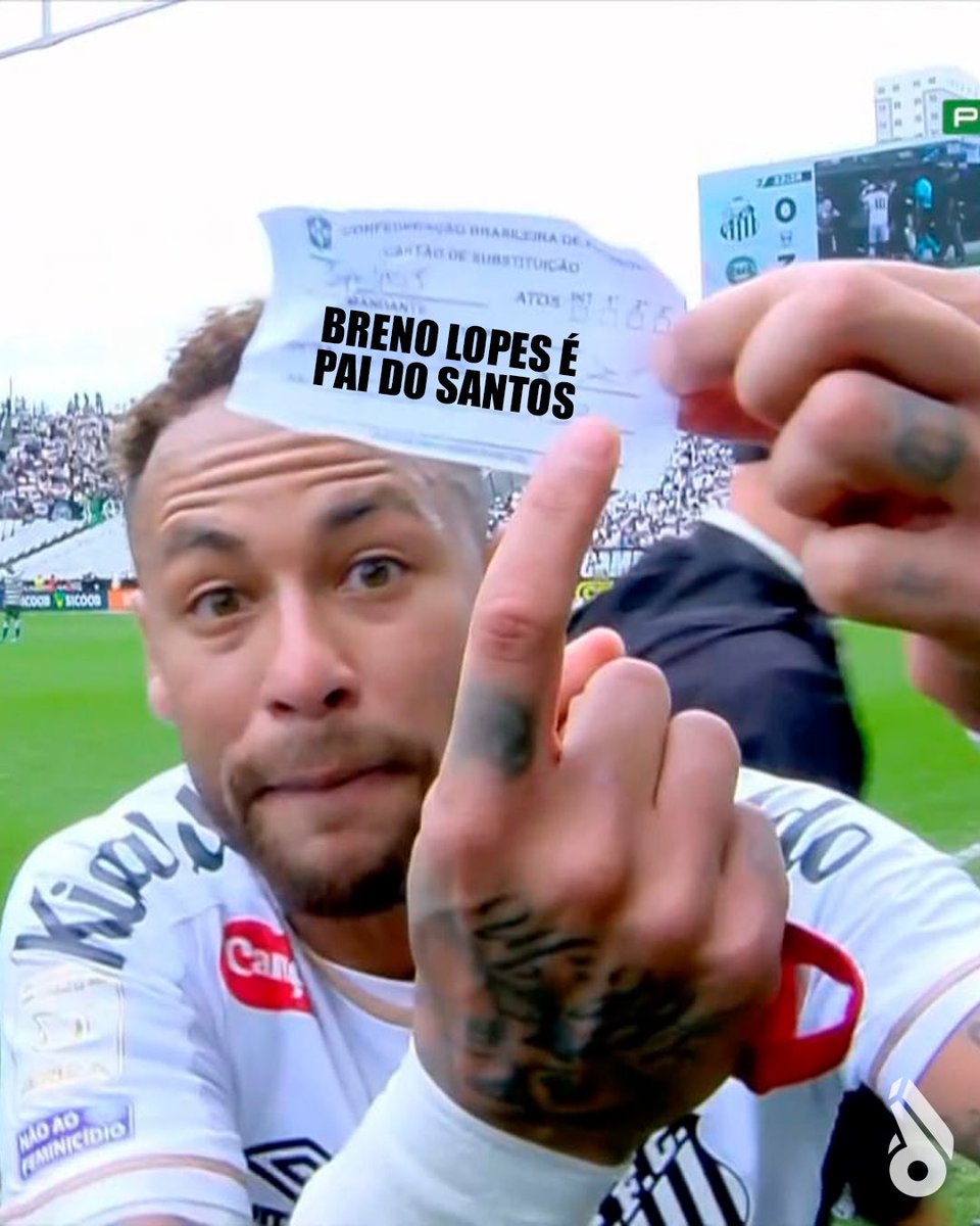 Fanática do Verdão tweet media