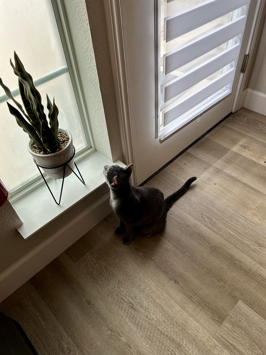 Let's go to work with mama