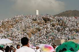 Algerian Brief tweet media