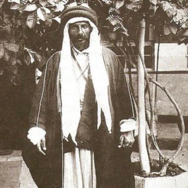رُمح عنزة tweet media