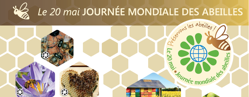 edd_besancon's tweet photo. Aujourd'hui, 20 Mai, c'est la journée mondiale des abeilles !
Une occasion de sensibiliser le public sur la nécessité de protéger les abeilles et les autres pollinisateurs. #ODD15
https://t.co/cGCCQJOyKe https://t.co/HhZy3YovJ5