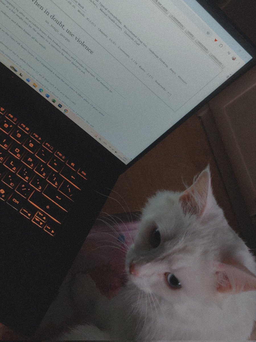 mishi tweet media