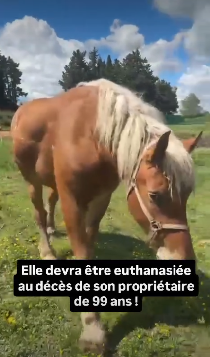 AntiChasse ⒶⓁⒻ tweet media
