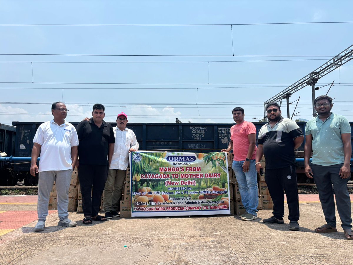 ormas_odisha's tweet photo. ЁЯен Today, on 17.05.2026, in the 2nd phase, #ORMAS with the support of its FPO successfully supplied 2 MT of Dasheri mangoes through a collective marketing approach.
@PRDeptOdisha
#ormasodisha #motherdairy #odishaagriculture #muniguda https://t.co/X7aaava6e4