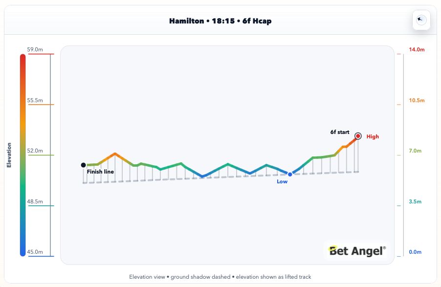 Bet Angel - Betfair trading tweet media