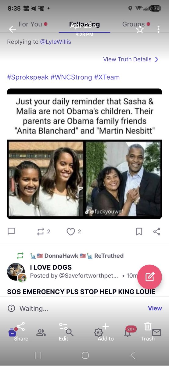 Dorothy Krueger tweet media