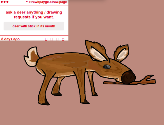 John fawn tweet media