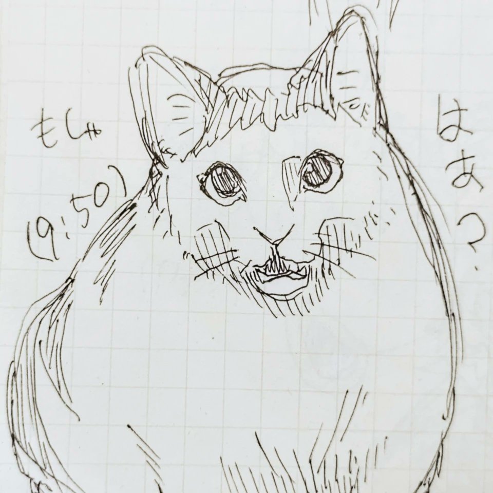 らいぐる tweet media