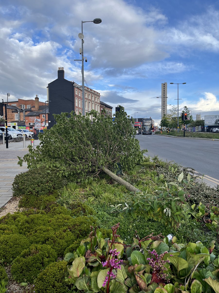 Friends of Bradford Street tweet media