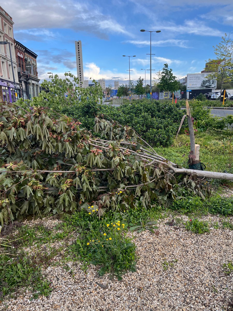 Friends of Bradford Street tweet media