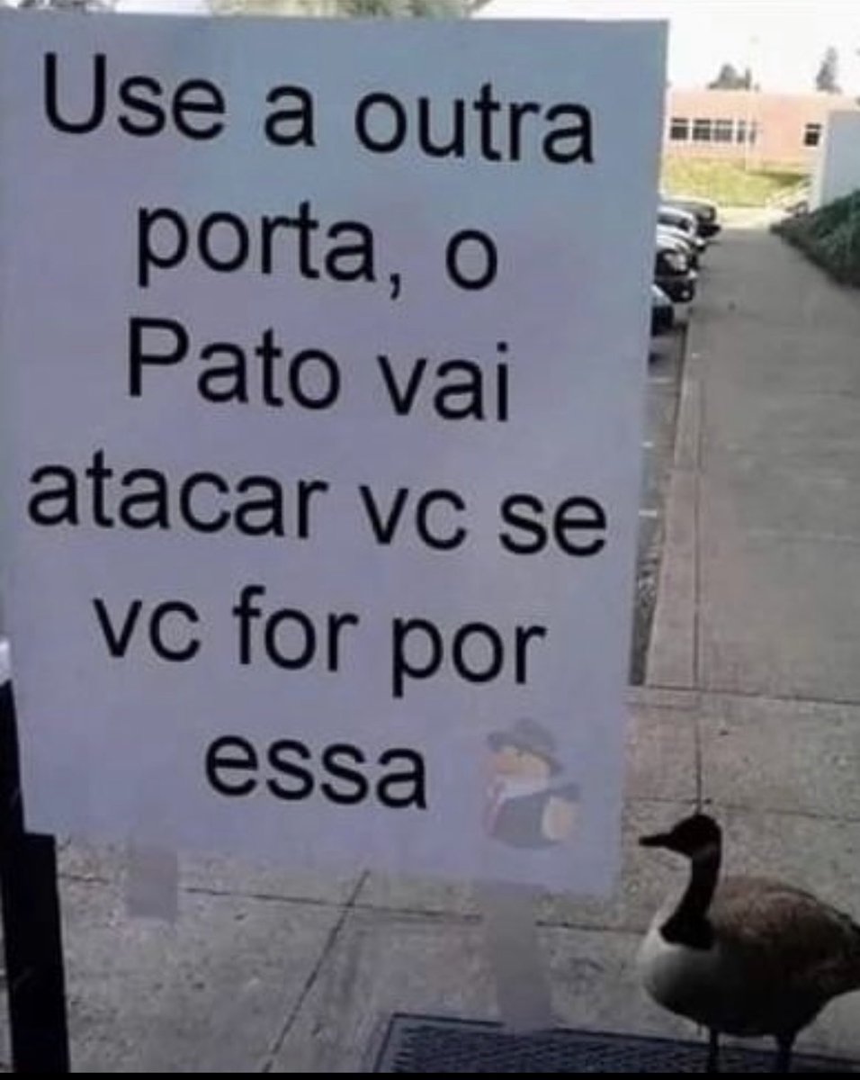 Pérolas da Libidinagem tweet media