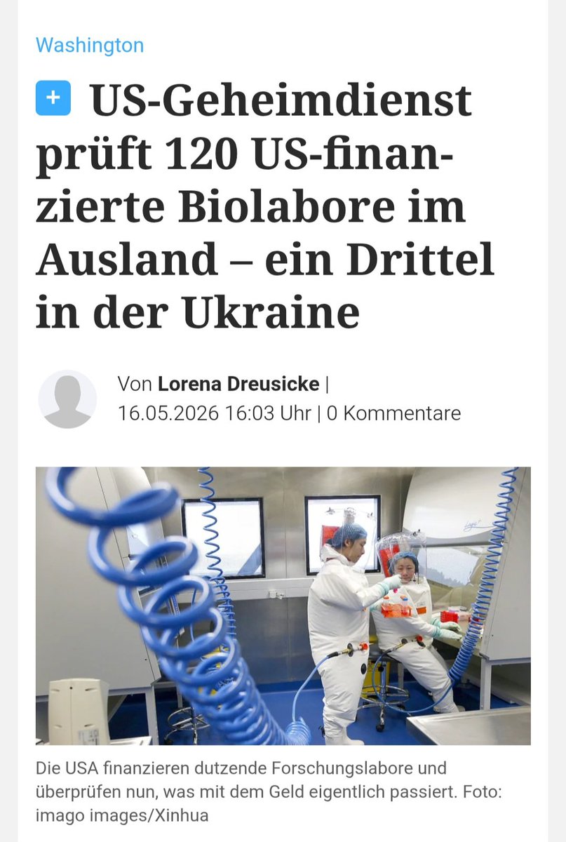 Alina Lipp tweet media
