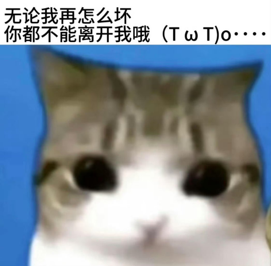 咪 tweet media