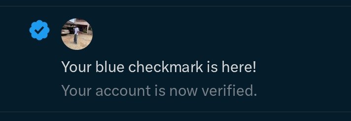 Chibuike 🦍⭐ tweet media