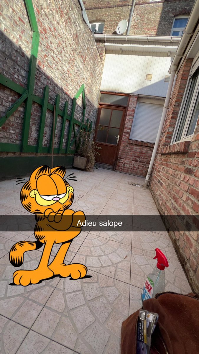 Nèflie tweet media