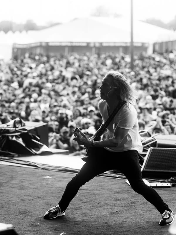 Alter Bridge tweet media