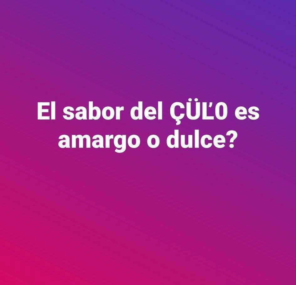 CamiIA tweet media