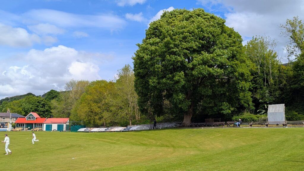 Lowerhouse Cricket Club tweet media