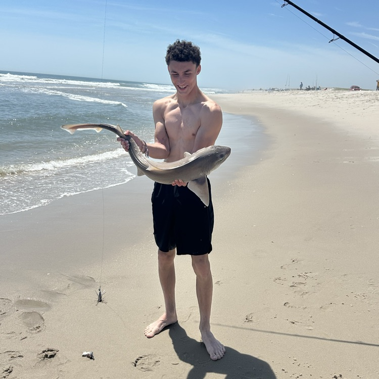 LRHSNJ's tweet photo. Fishing Club had a gorgeous day at Island Beach State Park for the Governors Surf Fishing tournament.  Shane caught a 27 1/2 inch striped bass. Ryan had a bigger one but we lost it in the wash. Lost a big bluefish too right at the end. Lots of dogfish caught. https://t.co/OyBZ29COiZ
