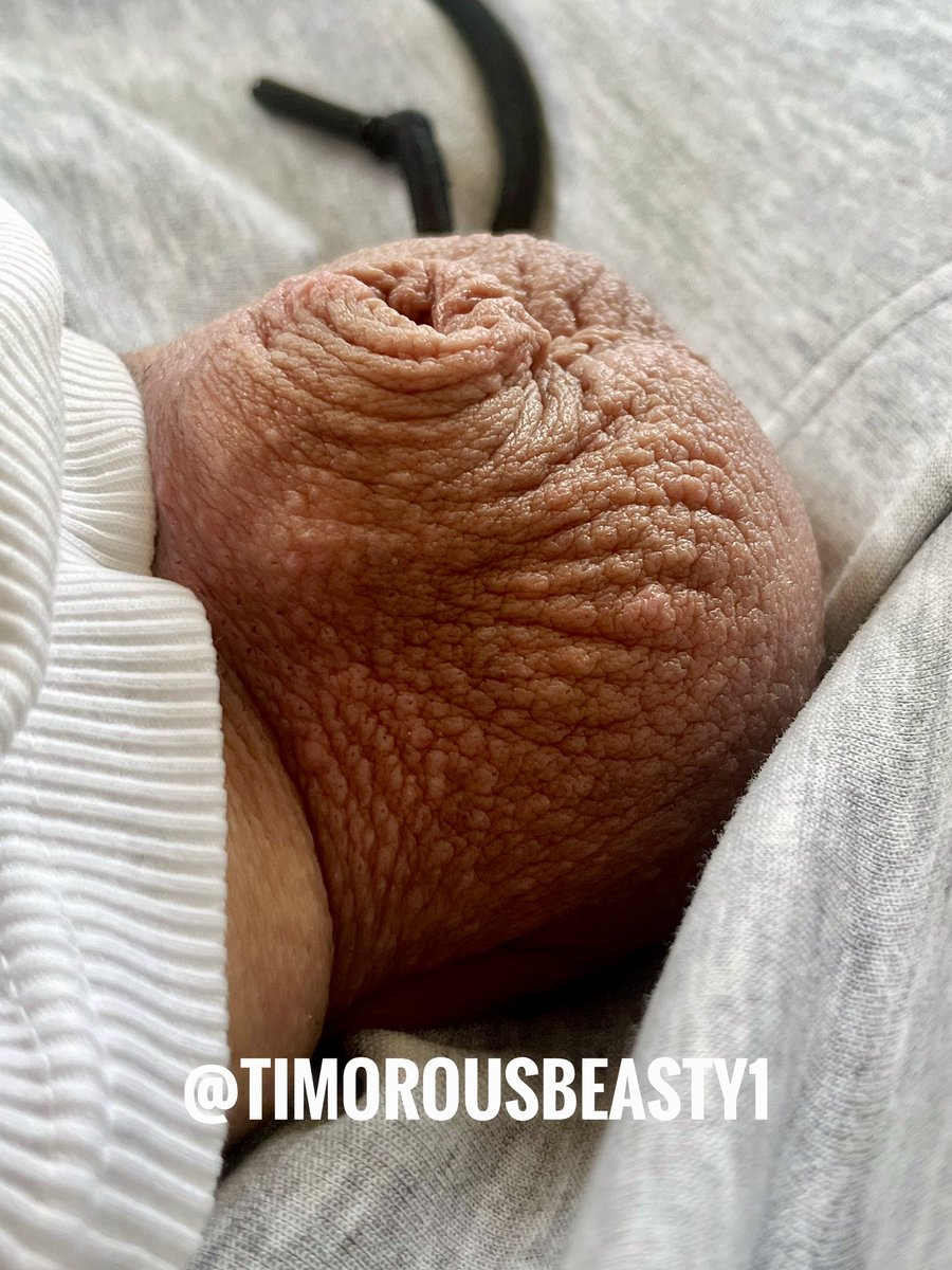Timorousbeasty tweet media
