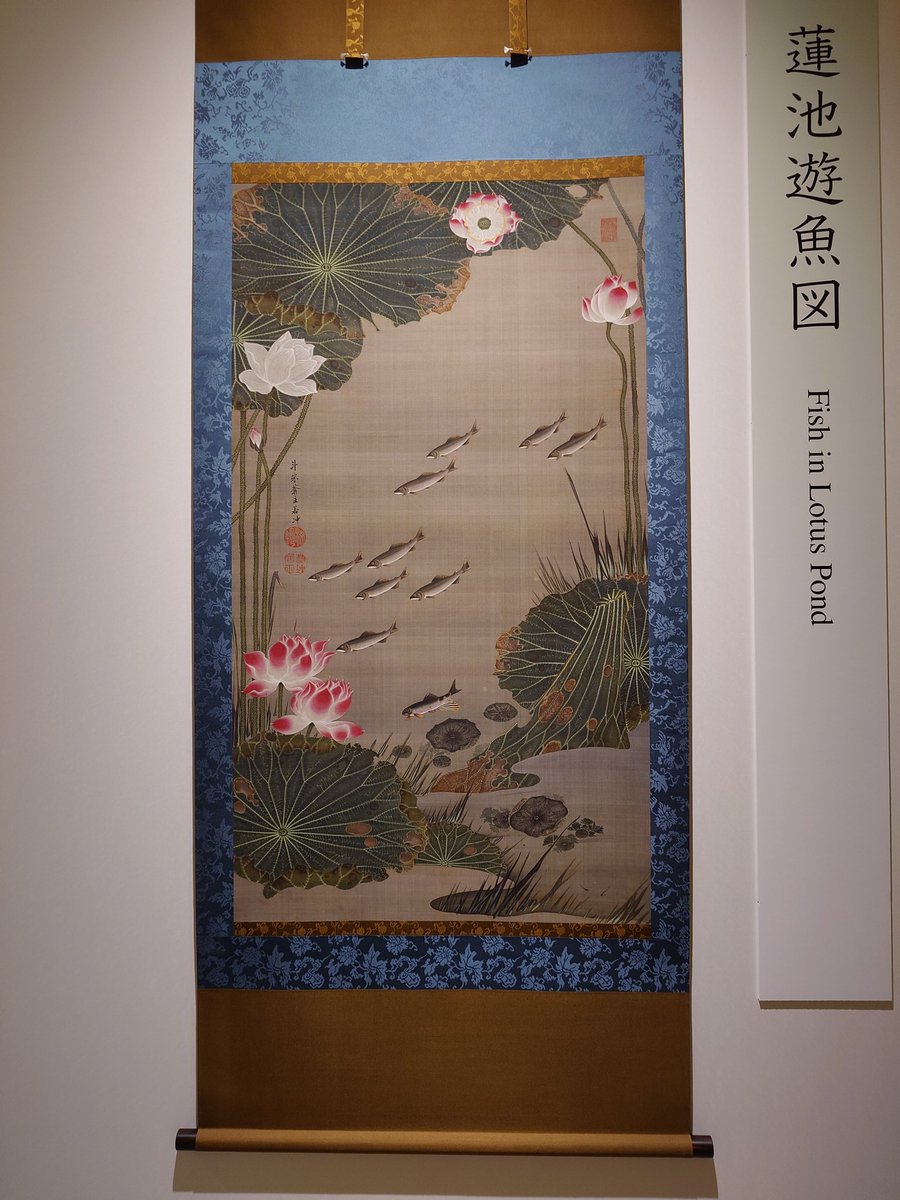 若冲の動植綵絵《蓮池遊魚図》を再び間近で鑑賞してきました。 水中に