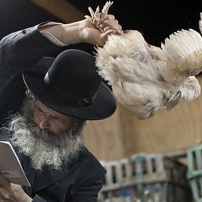 ⚡️Chicken Swinger⚡️ tweet media