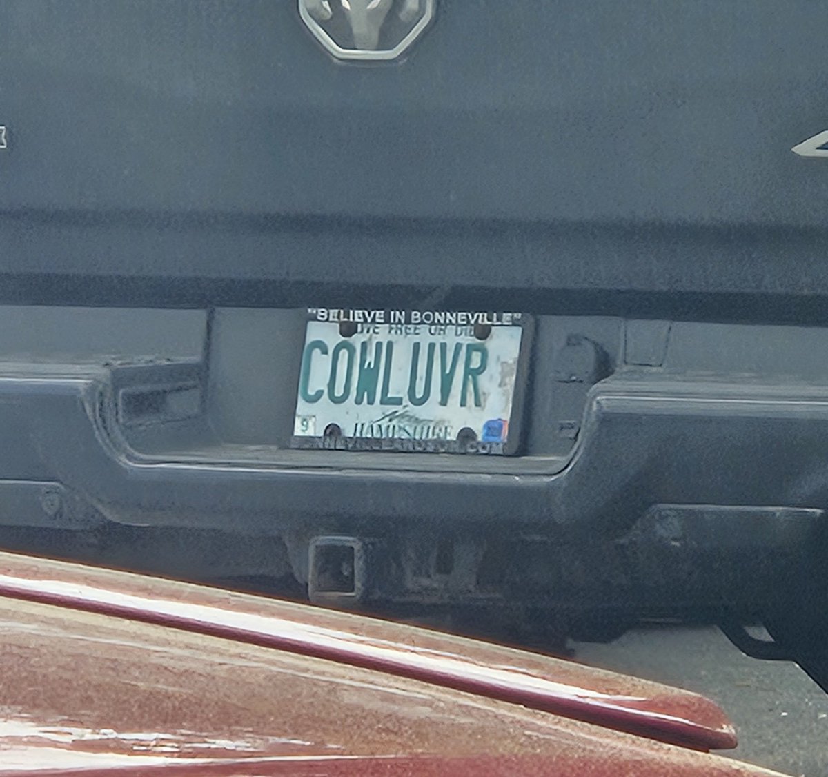 NH Vanity Plates tweet media